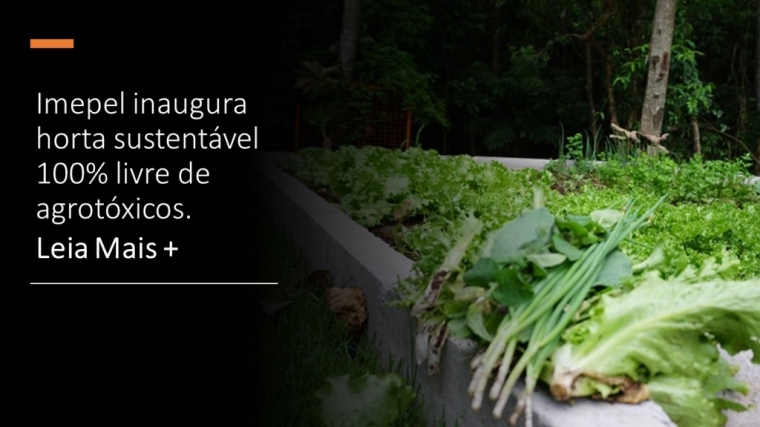 Imagem do post Imepel inaugura horta sustentável 100% livre de agrotóxicos