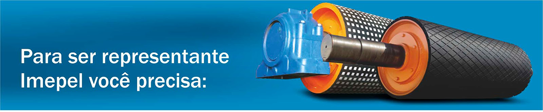 Requisitos consultor Imepel